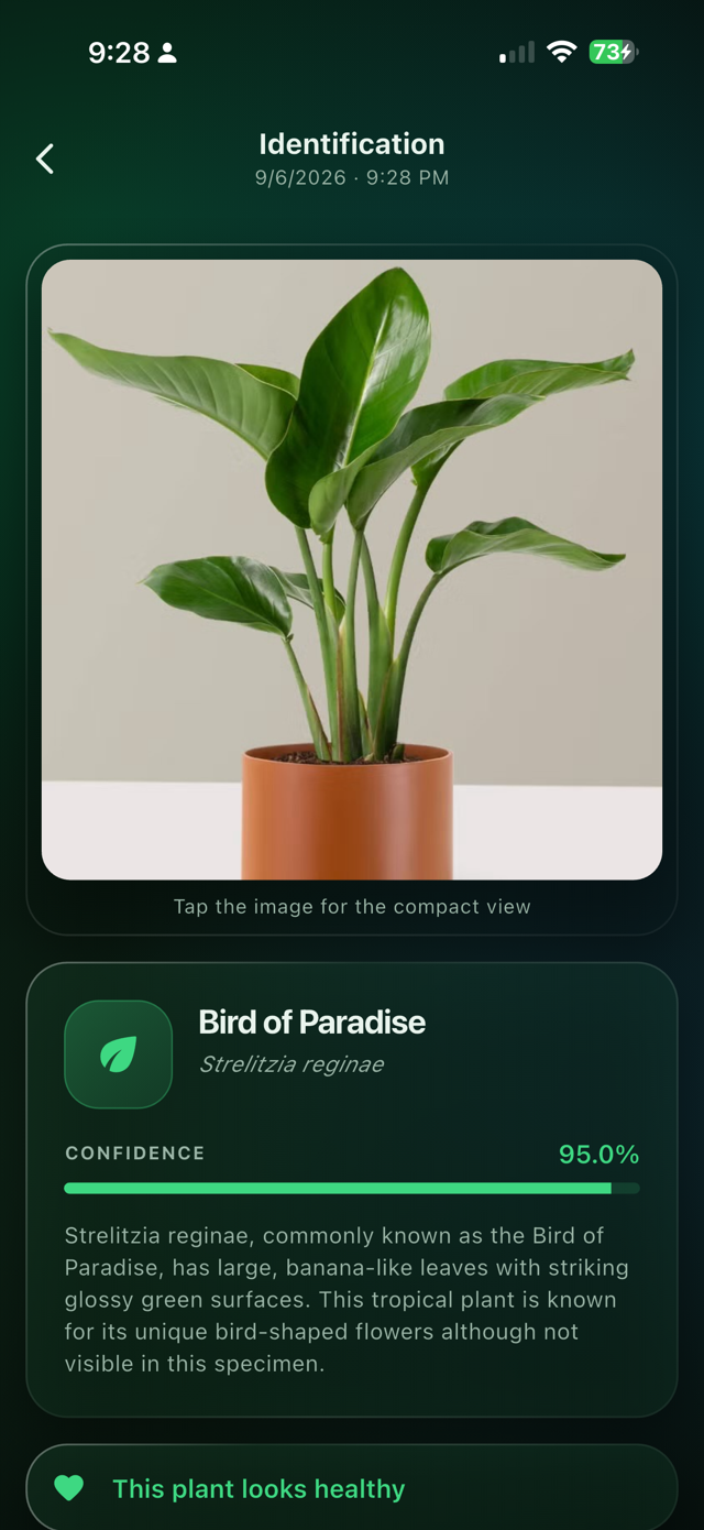 Budget Plant ID App Screenshot